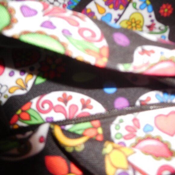 Sugar Skull Backpack & Lunchbox - Picture 6 of 7